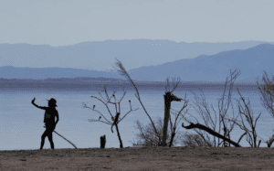 A photo of someone standing on the shore of the Salton sea in silhouette. You can see mountains in the background and plants in the foreground with the water behind them.