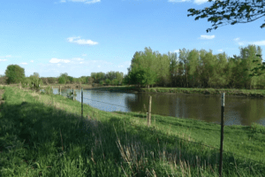 photo of water channel with a pasture on one side and trees on the other side